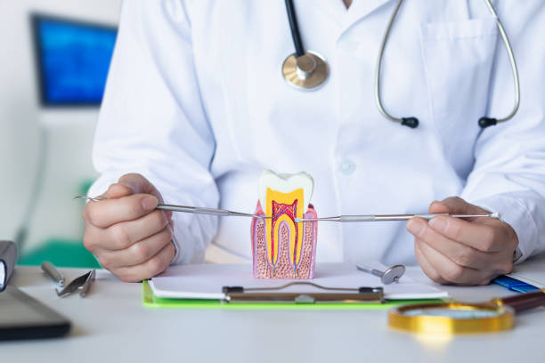 Best Emergency Dentist for Special Needs Patients in Waverly, VA